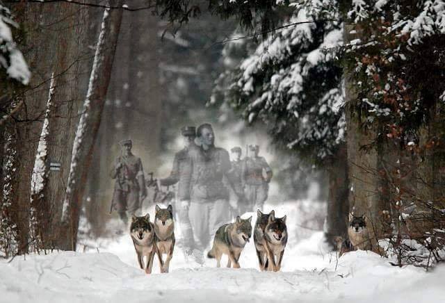 W HOŁDZIE ŻOŁNIERZOM NIEZŁOMNYM