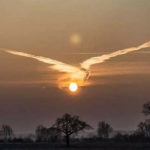 Należy wzmocnić polską armię!