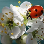 Haniebna wystawa w warszawskim Muzeum Etnograficznym